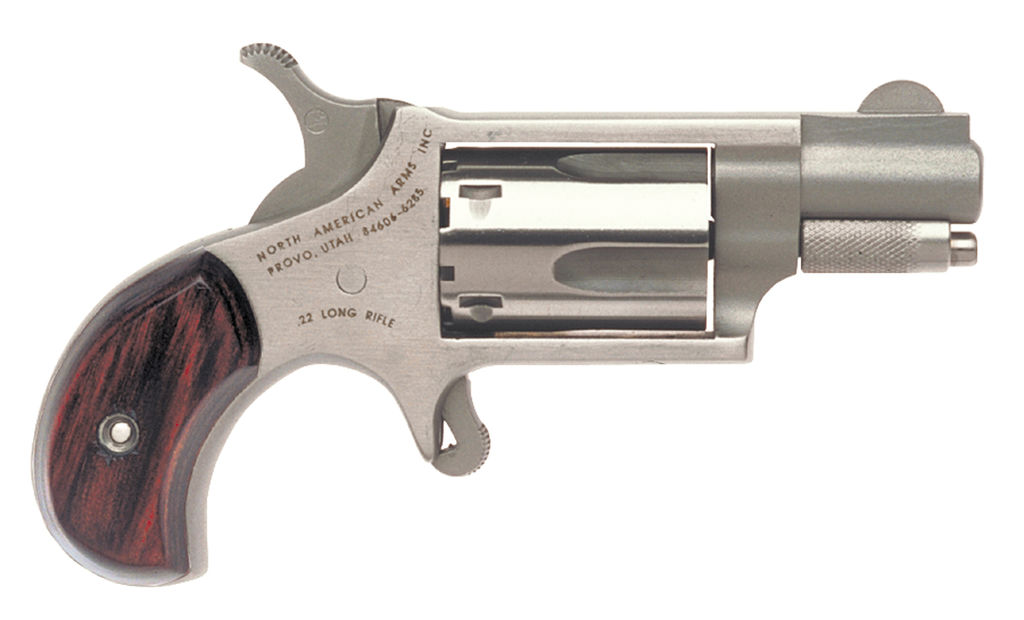 naa-22lr.jpg