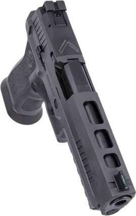g320x59legionr2_top.jpg