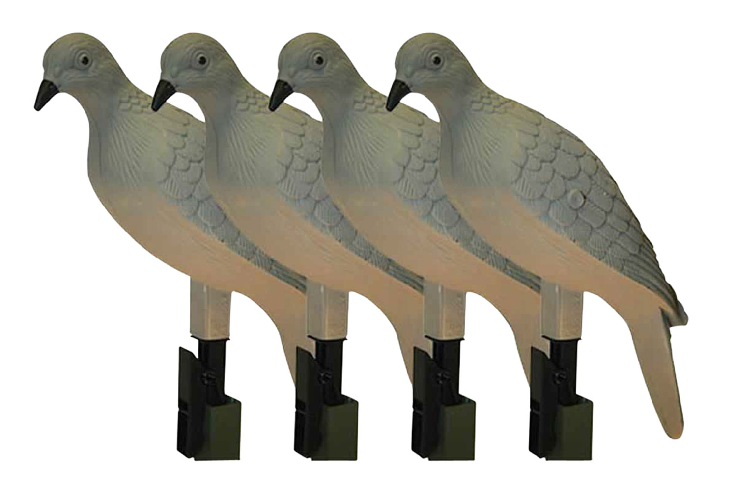 83646.jpg