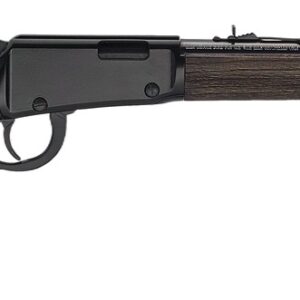 HENRY H001GG22M   GARDEN GUN .22 WMR SHOTSHELL