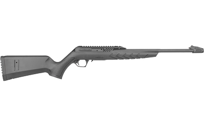 DYRTM22-STAN-18_2.jpg