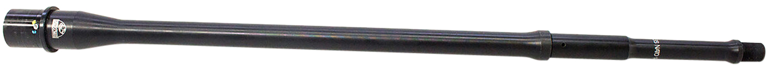 161577.jpg