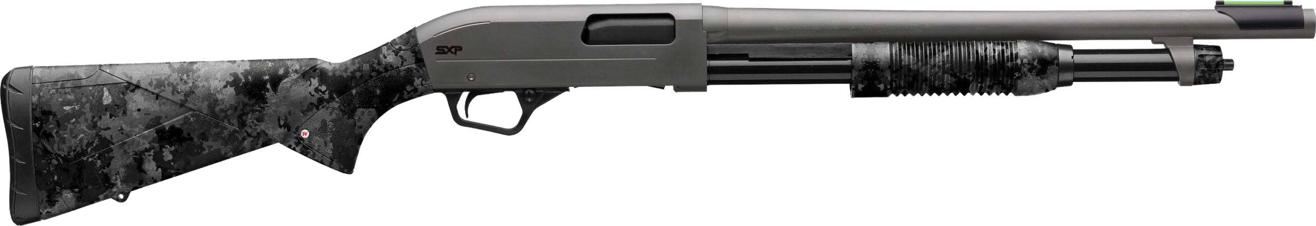 512450695.jpg