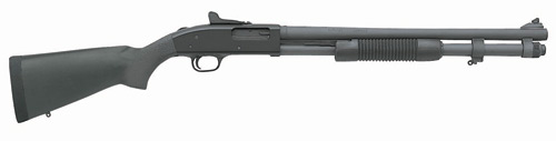 51663.jpg
