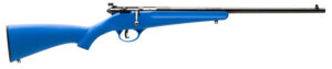 Savage Arms 13785 Rascal Youth 22 LR 1rd 16.13" Matte Black Sporter Barrel, Matte Black Carbon Steel Receiver, Blue Fixed Synthetic Stock, Right Hand