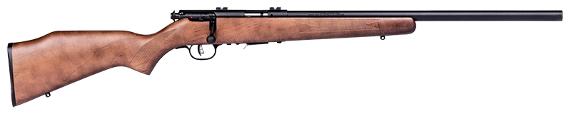 93R17-GLV.png