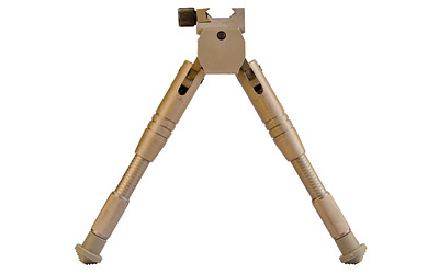 CAL534455_1.jpg