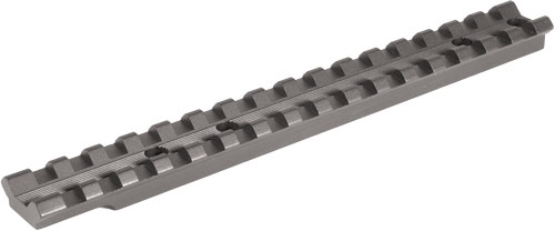 EGW40910.jpg