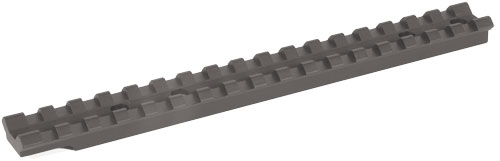 EGW40920.jpg