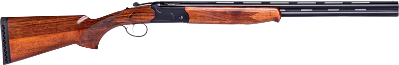 G22154_4.jpg
