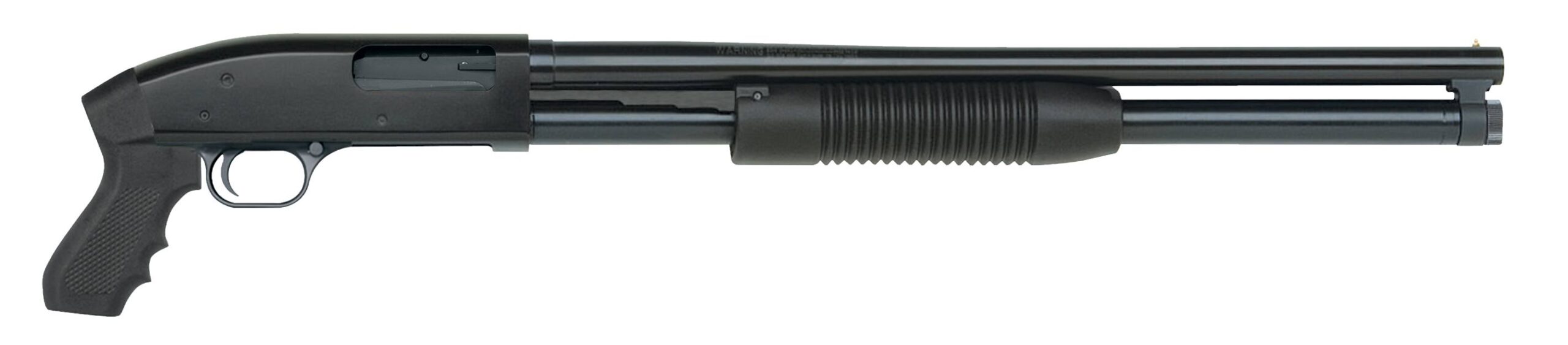 MB31080.jpg