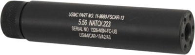 Z55FAKEAR.jpg