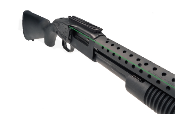 ctls-250g.jpg