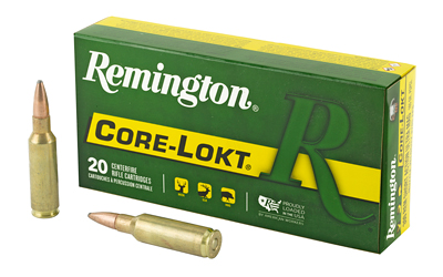 REM27954_1.jpg