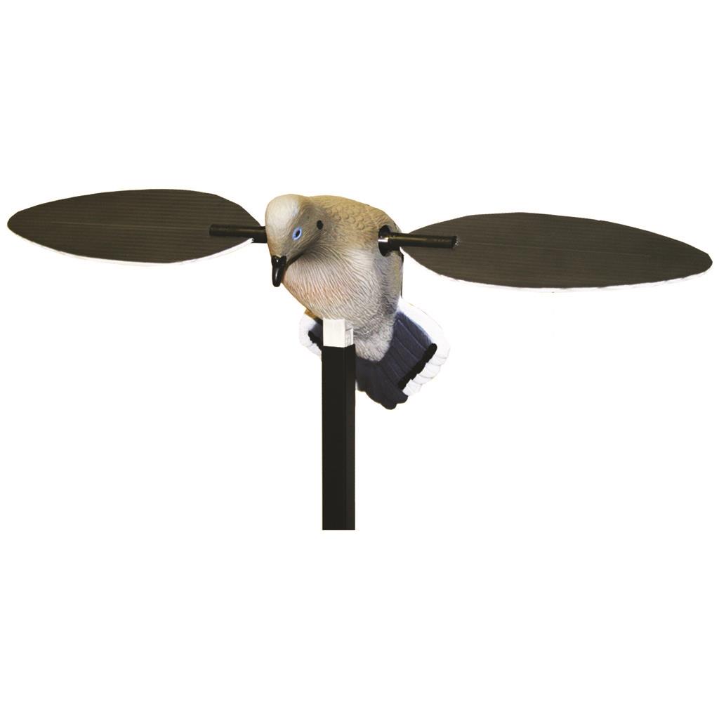 77393_1.jpg