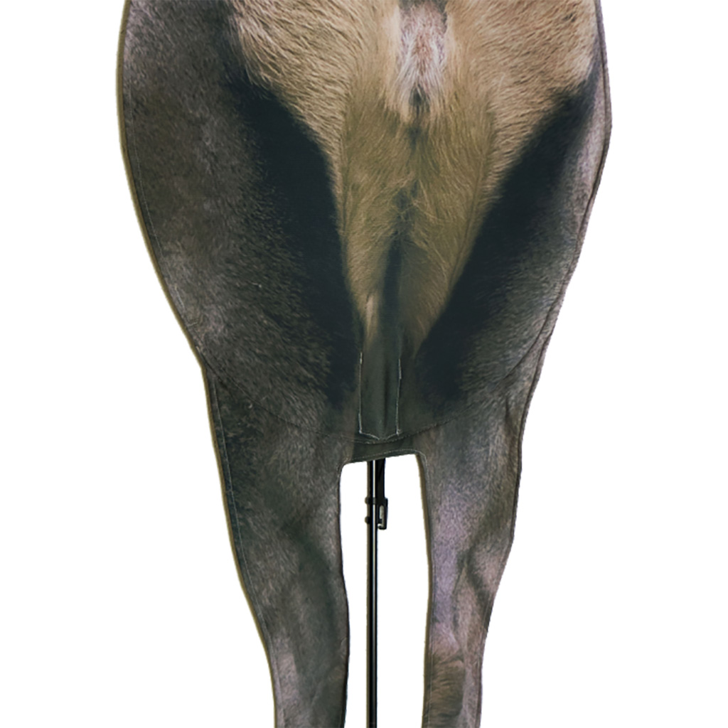 1004173_1.jpg