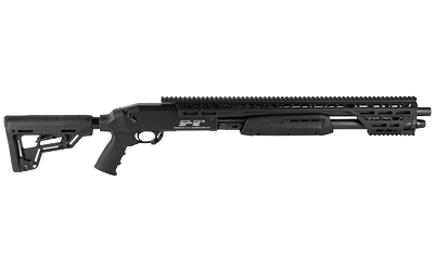 CSMSP12_2.jpg