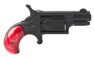 NAA22LR-BC-BBO_1.jpg