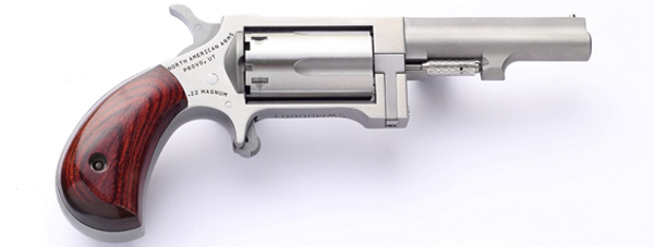 NorthAmericanArmsSidewinder2.5InchBarrel-1
